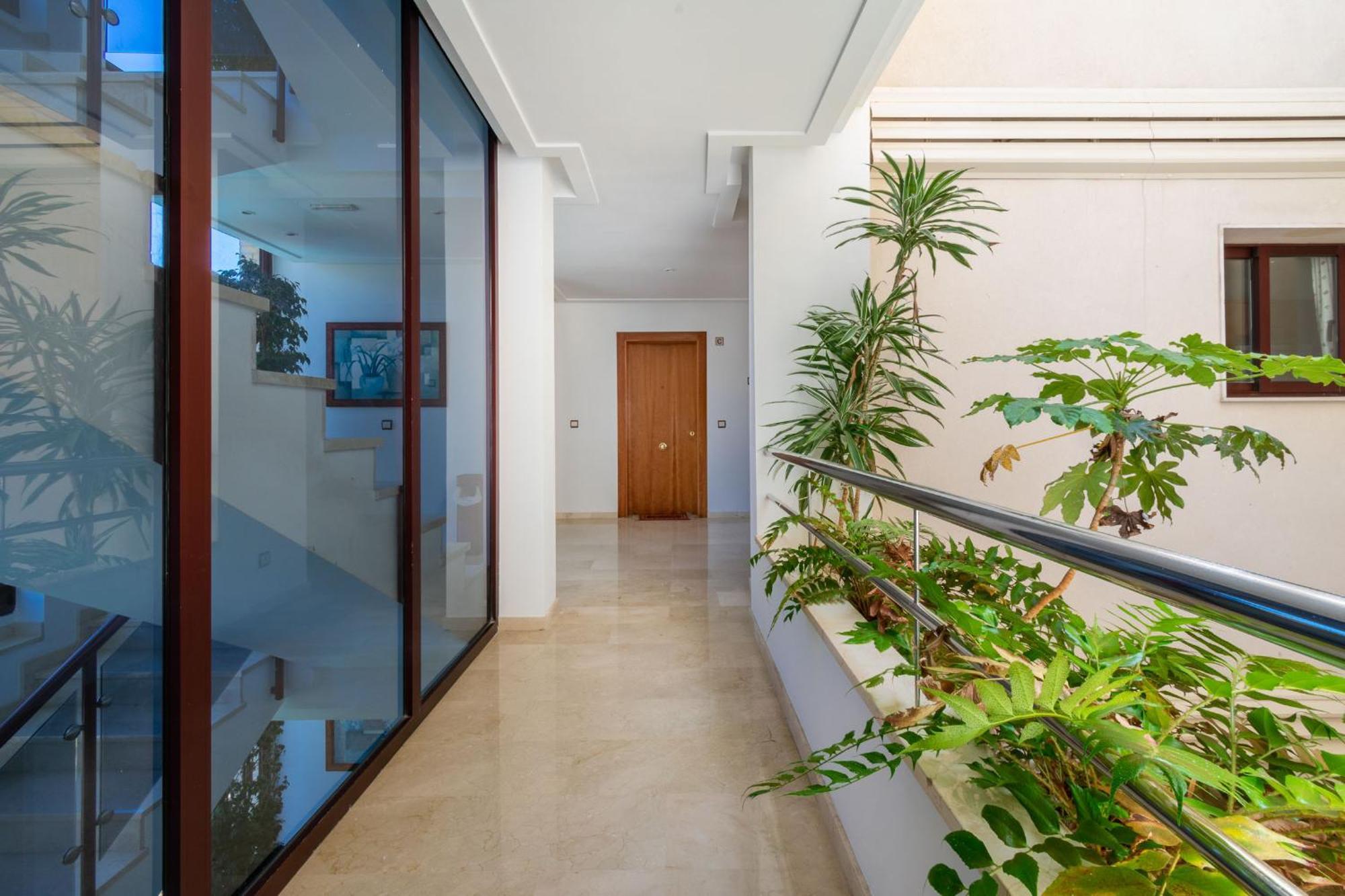 אלביר Apartamentos Albir Confort 1 Dormitorio מראה חיצוני תמונה